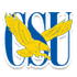 拉德福德大学