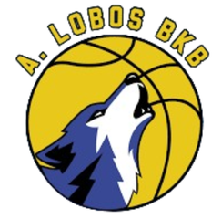 洛沃斯BKB
